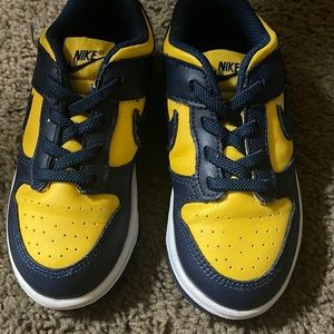 Toddlers Nike dunk